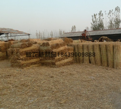 待運輸?shù)牟莺?>
											</div>
											<p>待運輸?shù)牟莺?/p>
										</a>
									</li>
								</div><div   id=